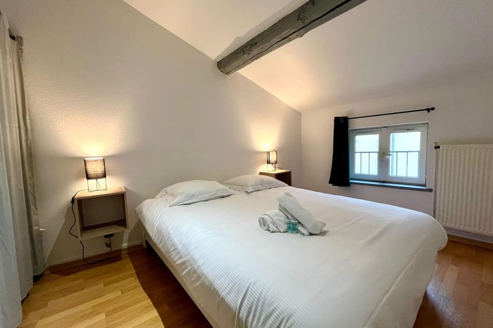 Nancy Vieille ville Le Duplex de St Epvre Apartment in Nancy