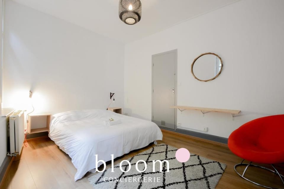 Nancy vieille ville Place St Epvre le 2 chambres des Dames Apartment in Nancy