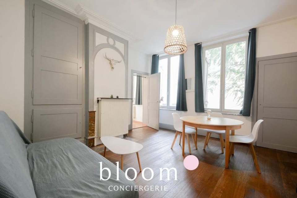 Nancy vieille ville Place St Epvre le 2 chambres des Dames Apartment in Nancy