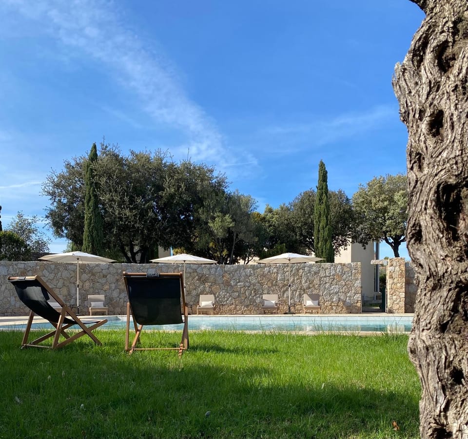 Garden, Garden view, Swimming pool, sunbed