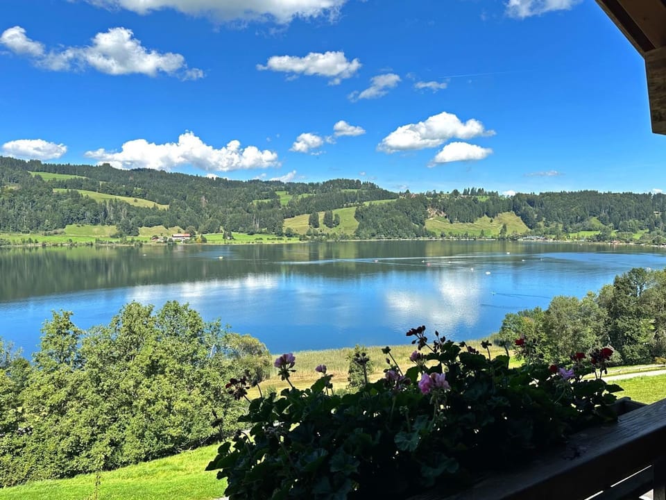 Natural landscape, Lake view