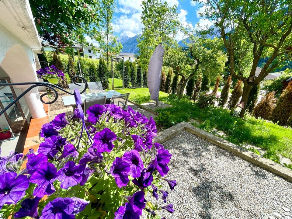 Natural landscape, Garden, Garden view