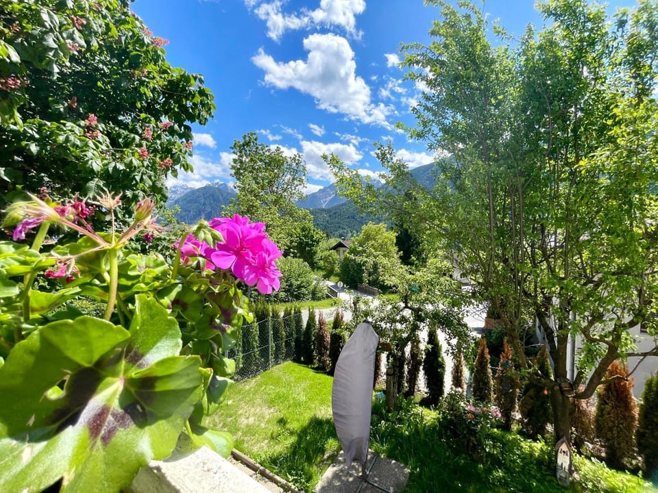 Natural landscape, Garden, Garden view, Mountain view