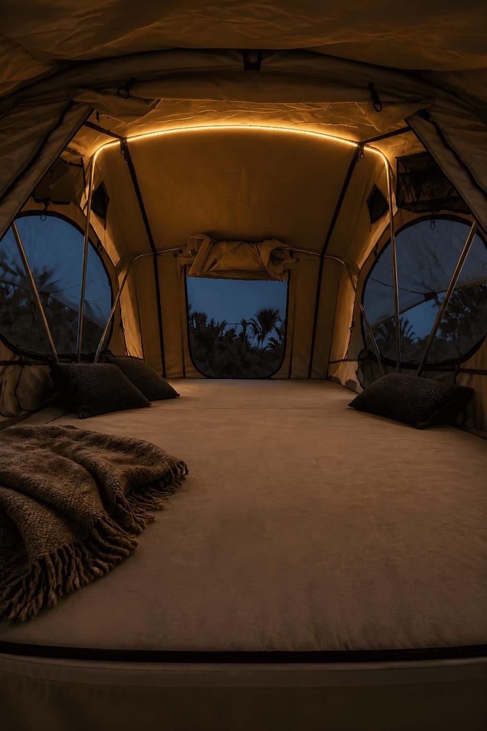 Night