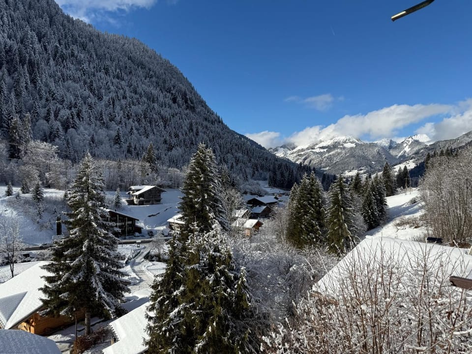 View (from property/room)