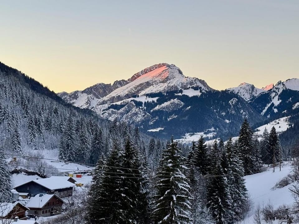 Appt Rénové et Moderne - 3 chambres - Châtel - Multi Pass - MÉNAGE INCLUS Apartment in Châtel