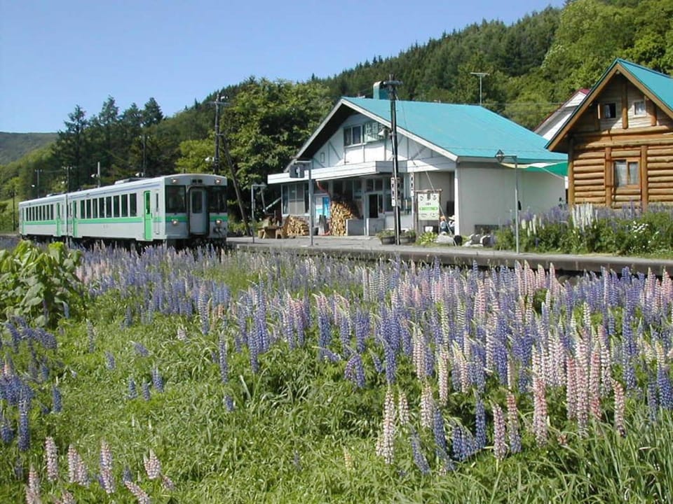 Property building, Natural landscape, Other