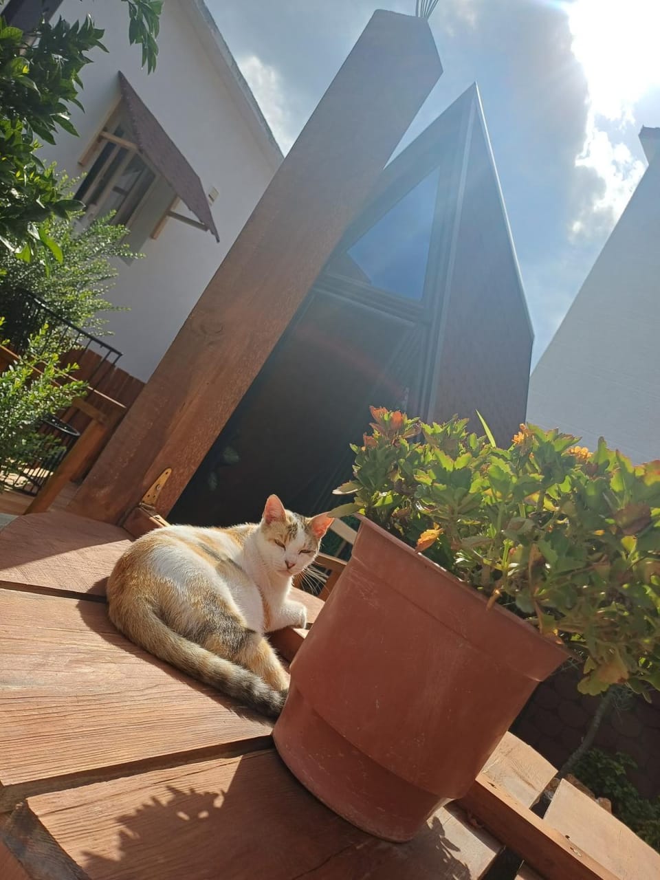 Guest House Adilaj House in Europe
