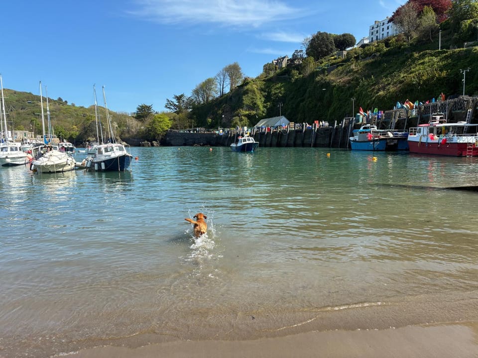 Harbourside House in Ilfracombe