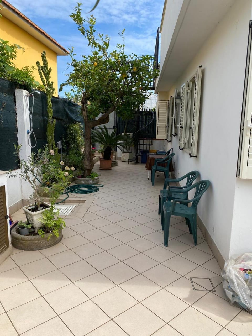 Property building, Day, Garden