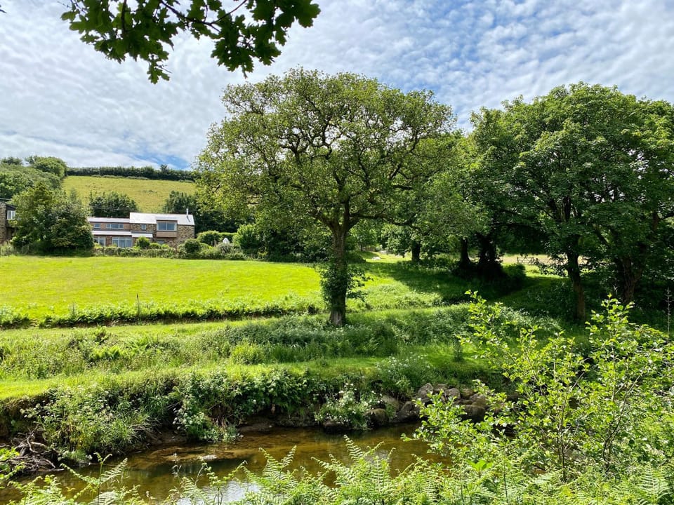 Property building, Day, Natural landscape, Garden, River view