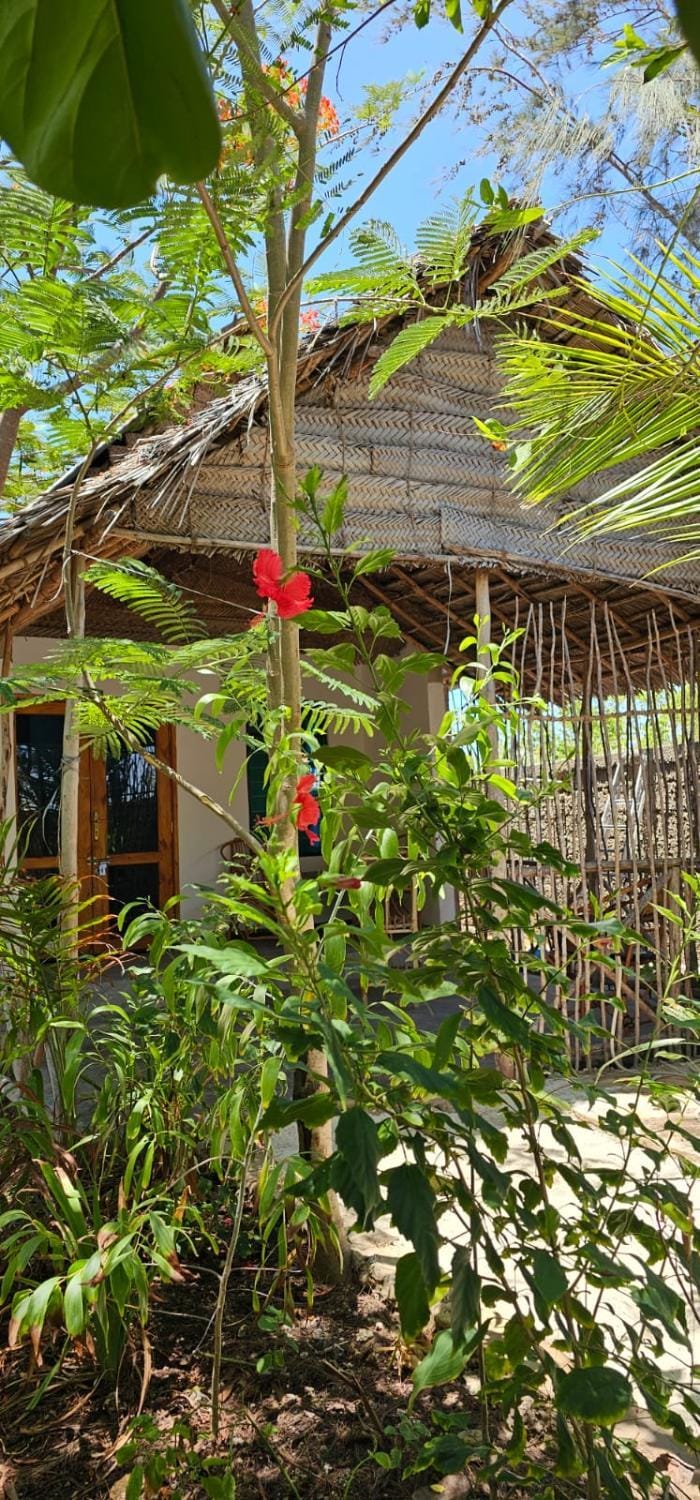 Z Village Lodge Paje Bed and Breakfast in Tanzania