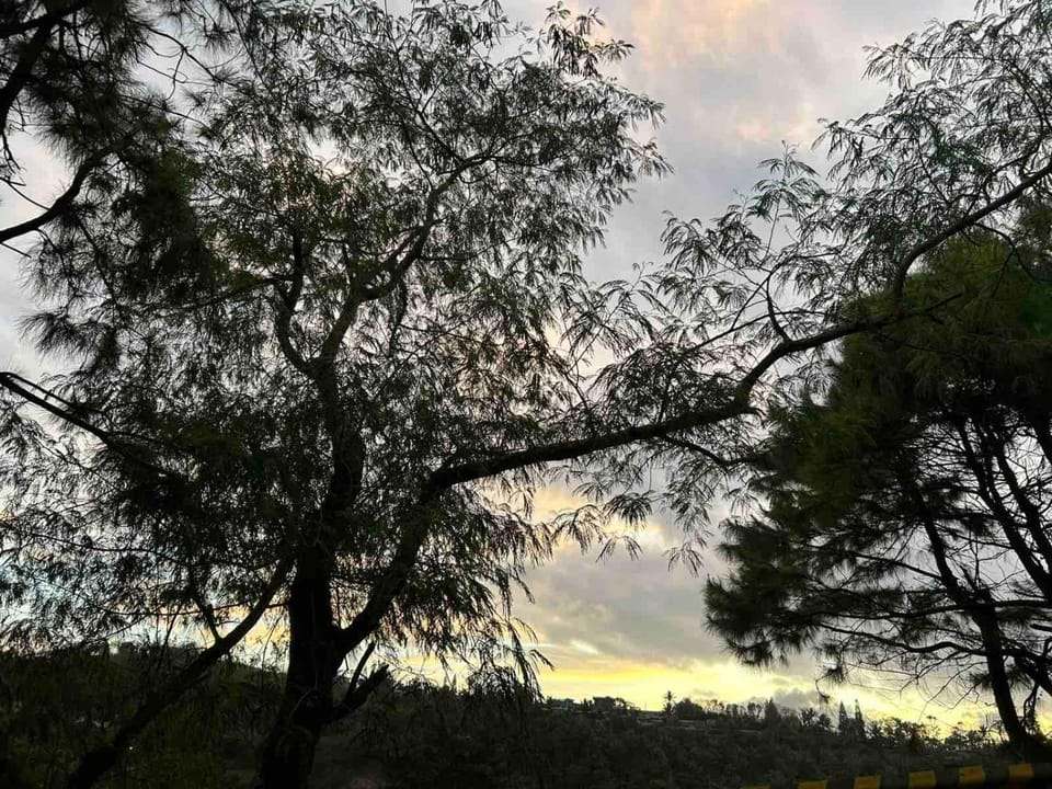 Crosswinds Alpine Suite Apartment in Tagaytay