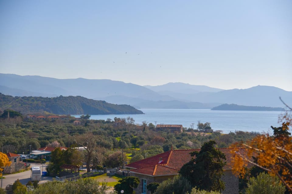 View (from property/room), View (from property/room)