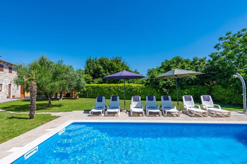 Day, Garden, Garden view, Pool view, Swimming pool, sunbed