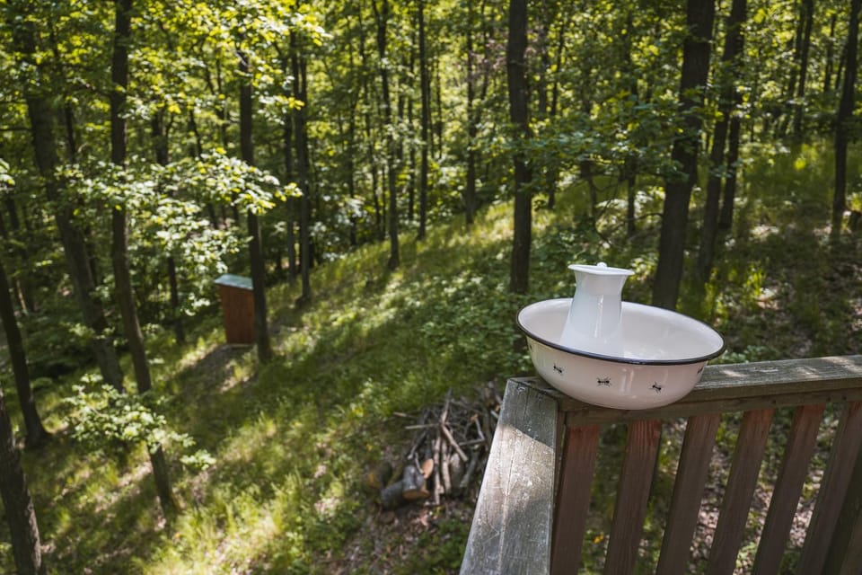 Toilet, Spring, Day, Natural landscape, Garden, Garden view
