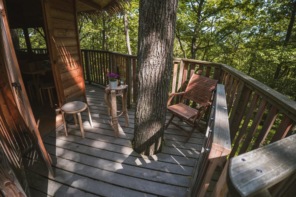 Spring, Day, Garden, View (from property/room), Balcony/Terrace, Balcony/Terrace