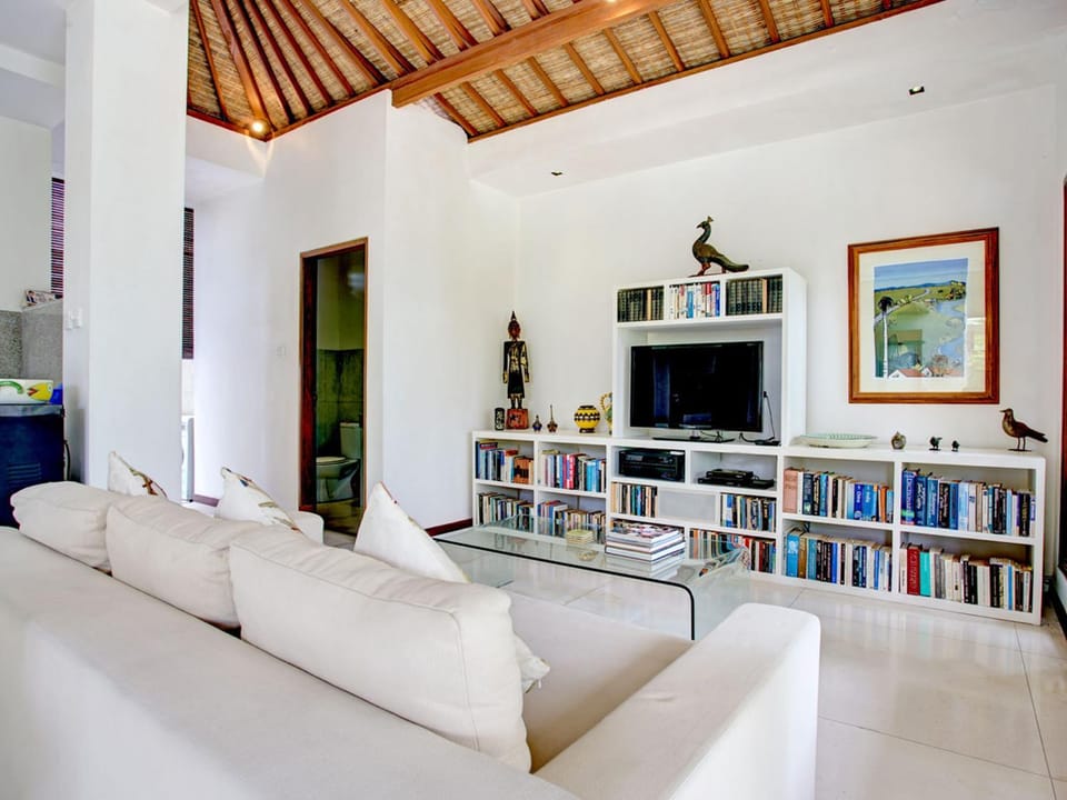Library, TV and multimedia, Living room, Seating area, Evening entertainment