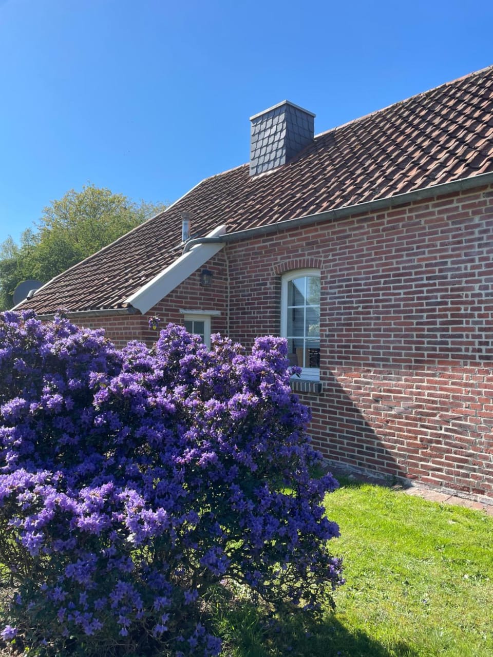 Property building, Garden