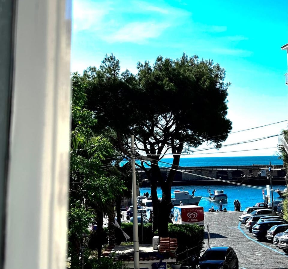 Natural landscape, River view