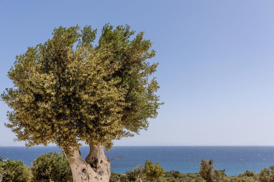 Nearby landmark, Day, Natural landscape, Sea view