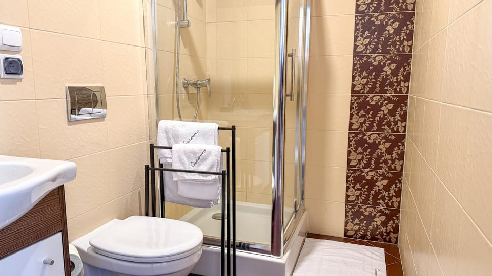 Shower, Toilet, Bathroom, towels