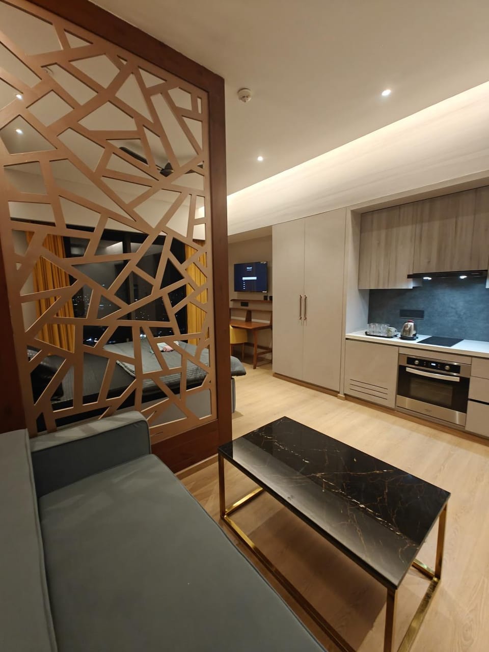 Luxurious Studio with glass wall and highway view Apartment in Noida