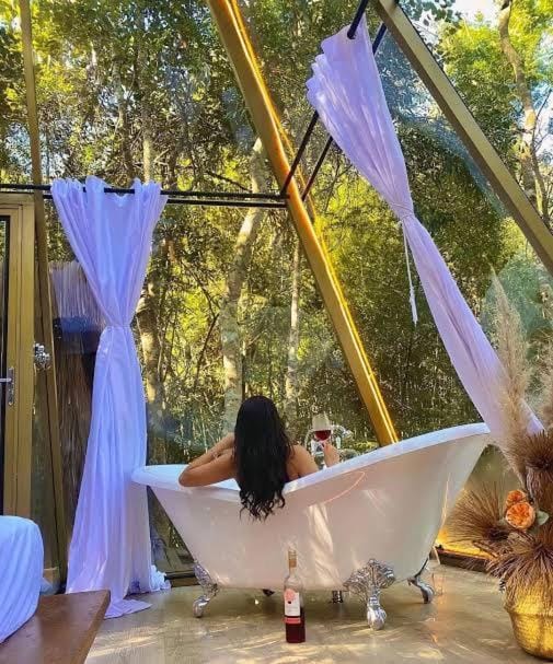 Loft Vidro Pirâmide Rota do Vinho São Roque Nature lodge in State of São Paulo