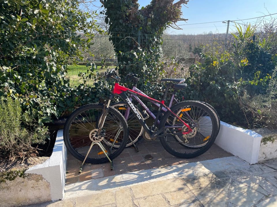 House 1Holiday Home Ava1 with pool & House 2 Holiday Home Ava2 with whirlpool House in Istria County