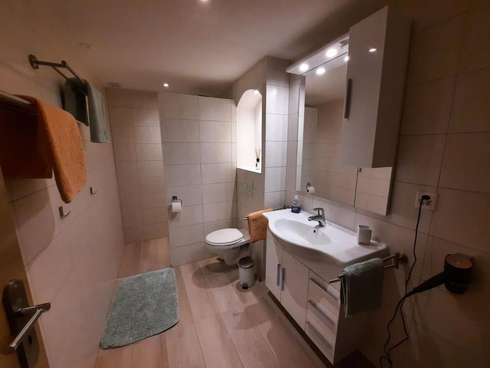 Appartement au bord de l'eau 43m Les Hirondelles Apartment in Sion