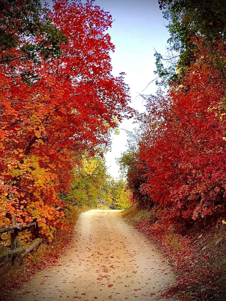 Quiet Canyon Starry Nights HappyOurs Ranch Bunk Family Home House in Glendale