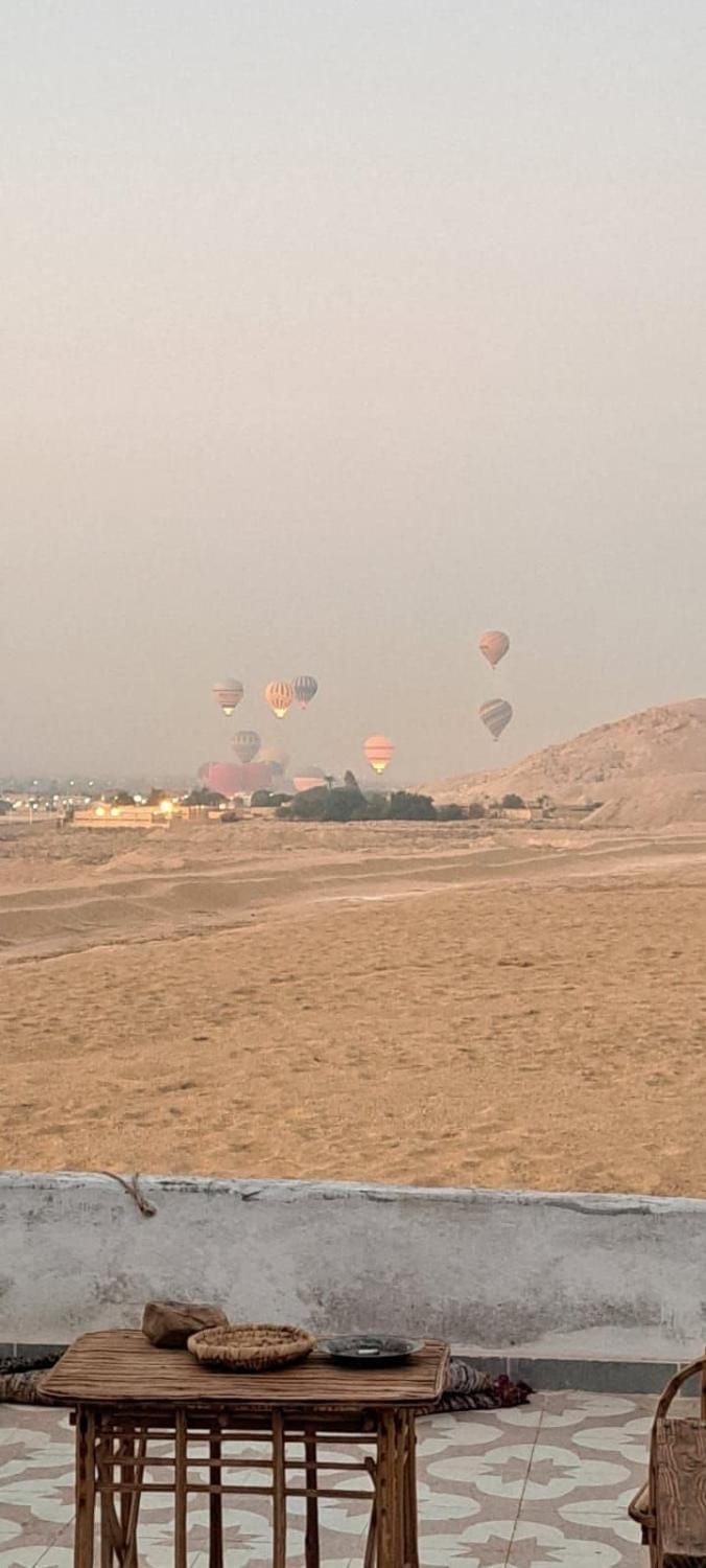 Gabawy Garden Bed and Breakfast in Luxor Governorate