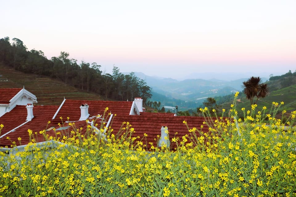 Natural landscape, Mountain view