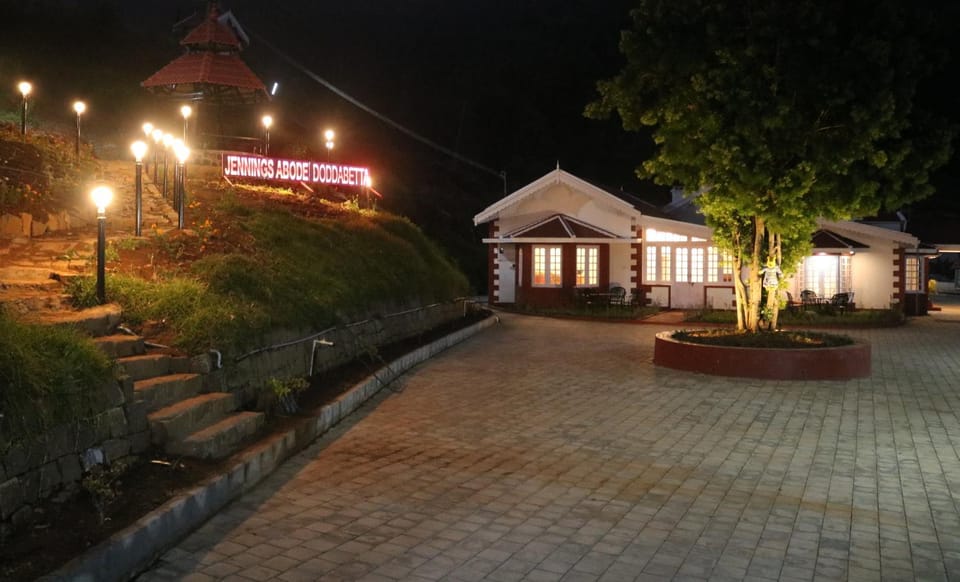 Property building, Night, Garden
