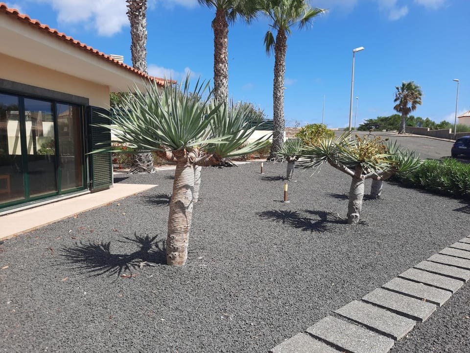 Heritage Villa Porto Santo Villa in Madeira District