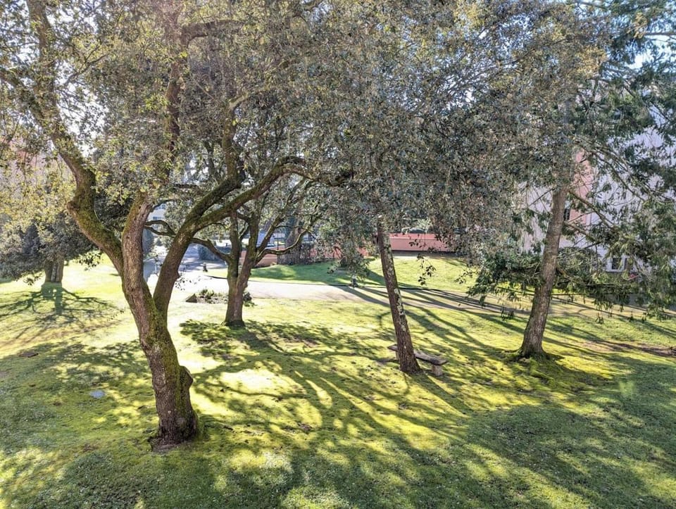 Garden view