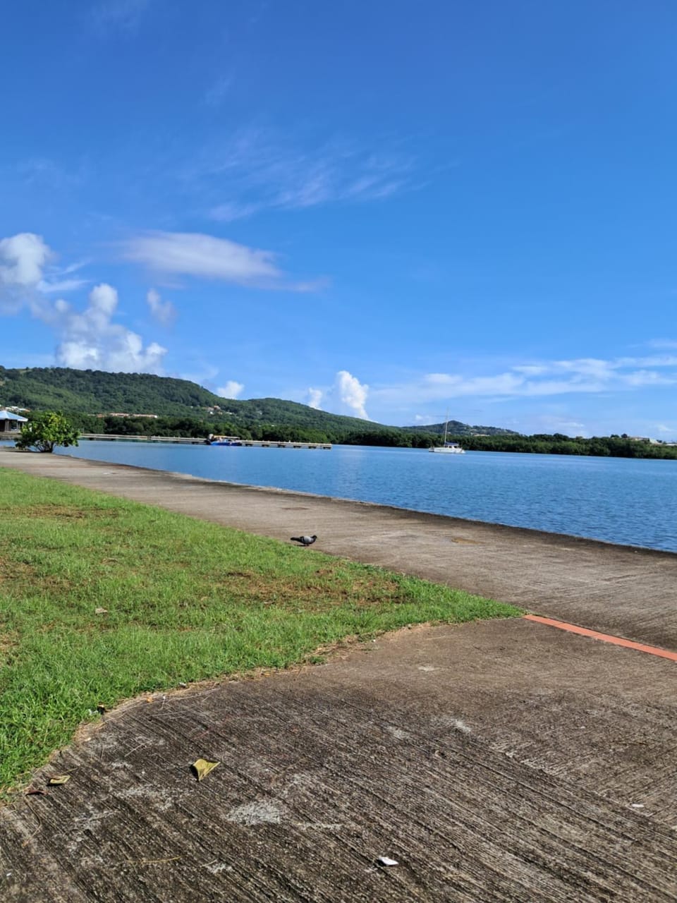T4 spacieux et lumineux au cœur du Robert Apartment in Martinique