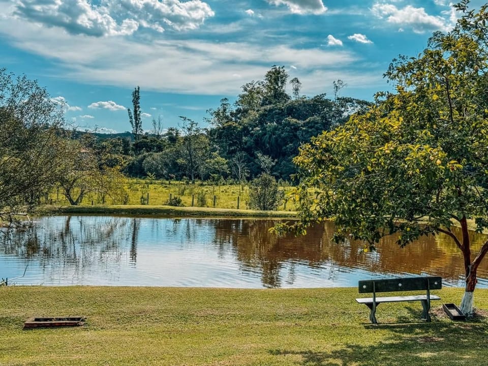 Lake view