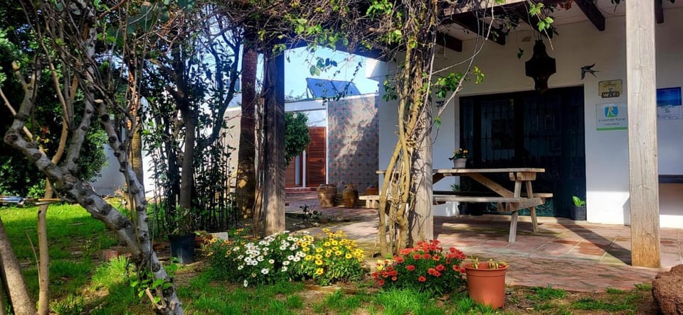 Property building, Patio, Facade/entrance, Spring, Day, Garden, Garden view