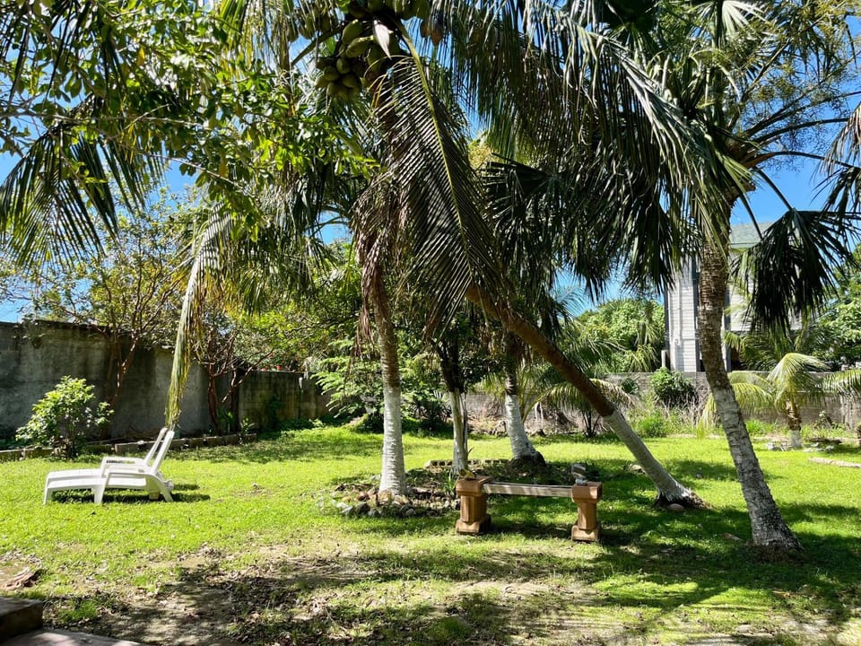 Natural landscape, Garden, Garden, Garden view