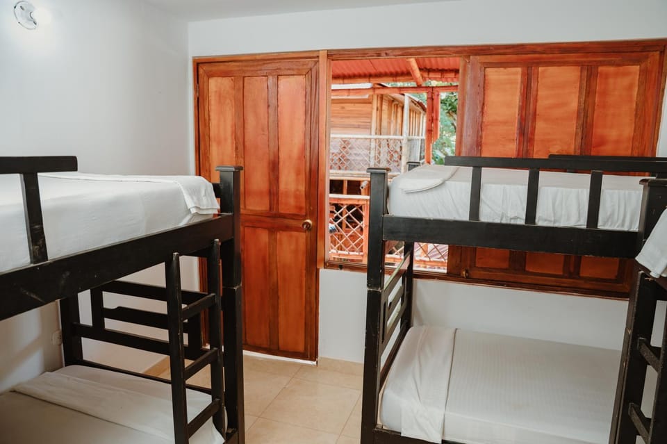 Bed, Photo of the whole room, Bedroom, bunk bed