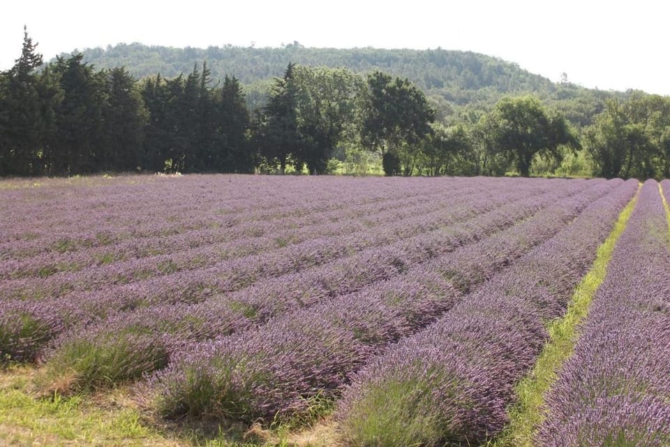 Domaine de Molya - charmant gîte en Drôme Provençale - Ardèche House in Provence-Alpes-Côte d'Azur
