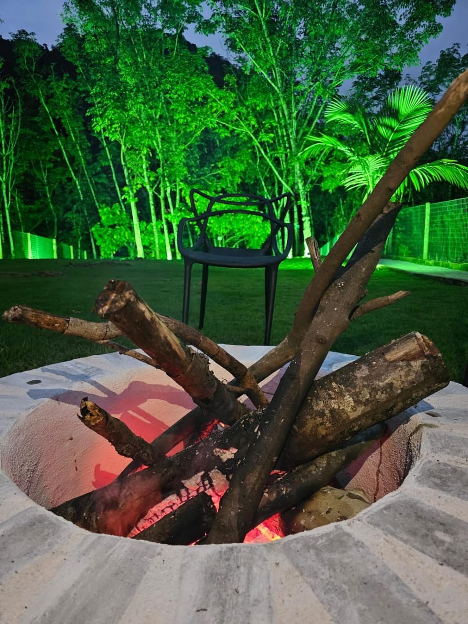 Night, Garden