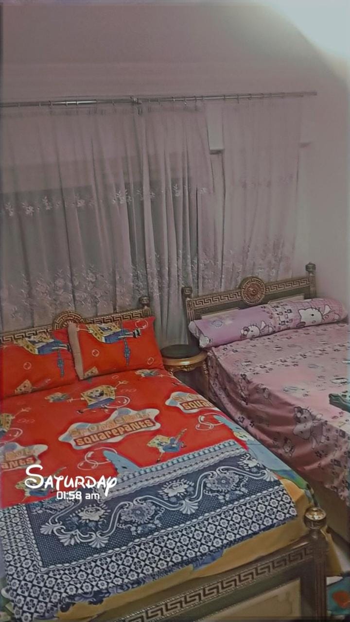 شقه Apartment in Cairo