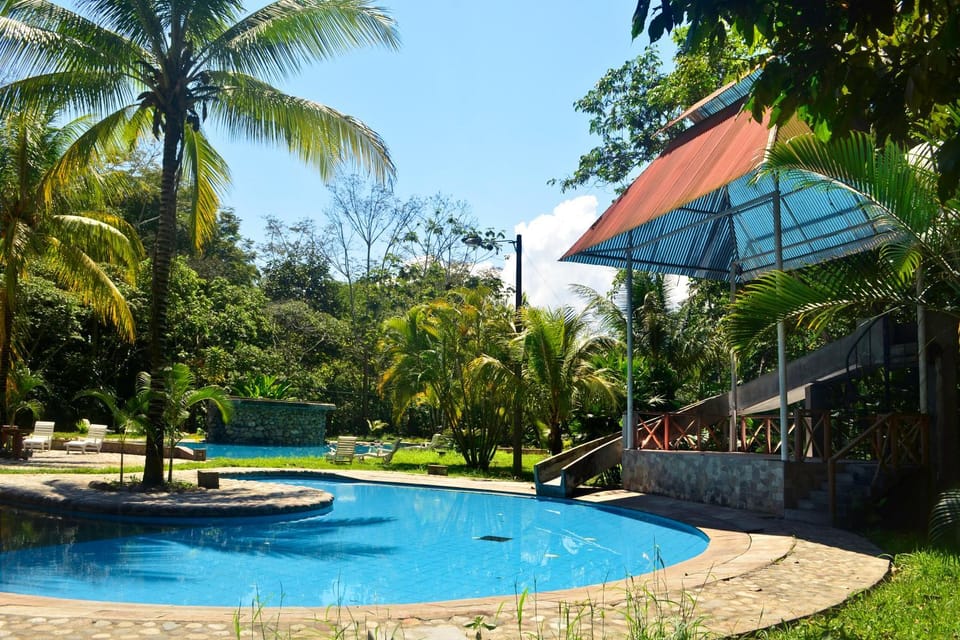 Swimming pool