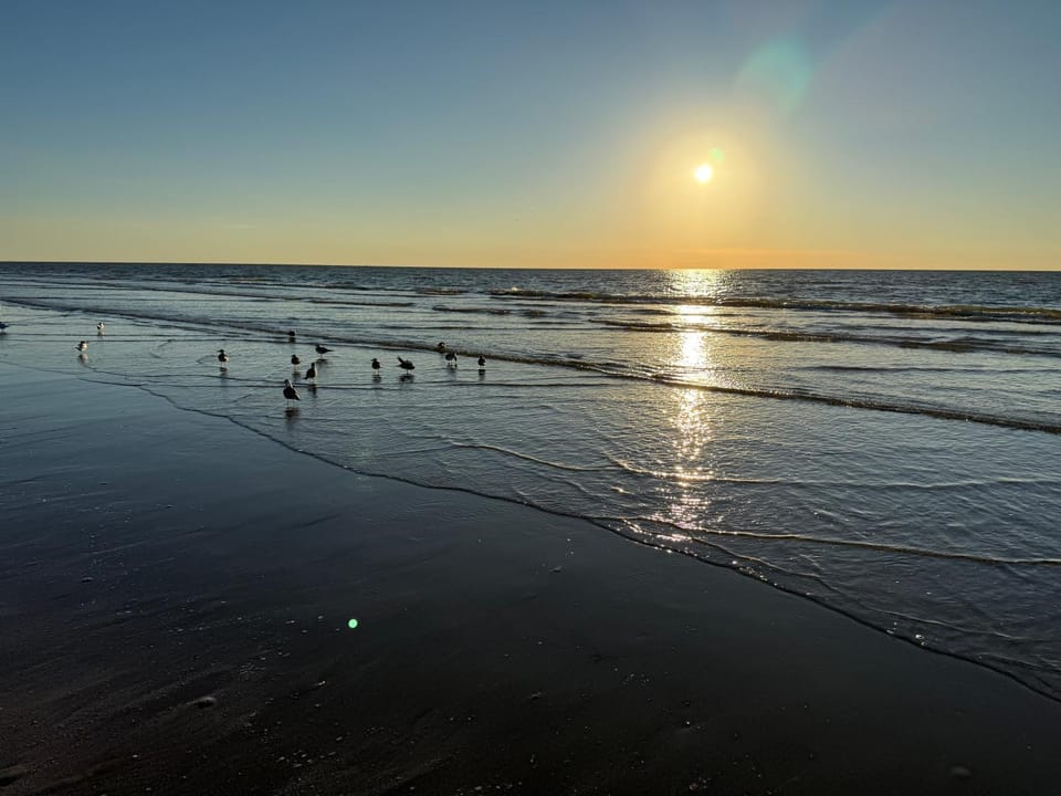 Natural landscape, Beach, Sea view, Sunrise