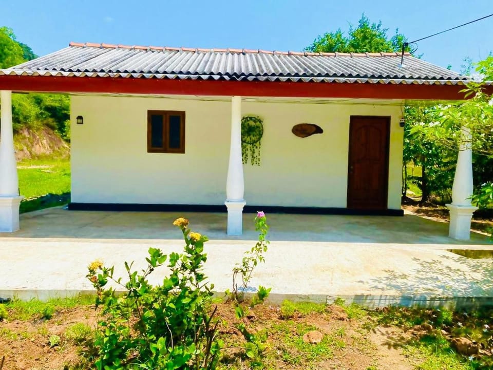 Property building, Spring, Day, Garden, Garden view