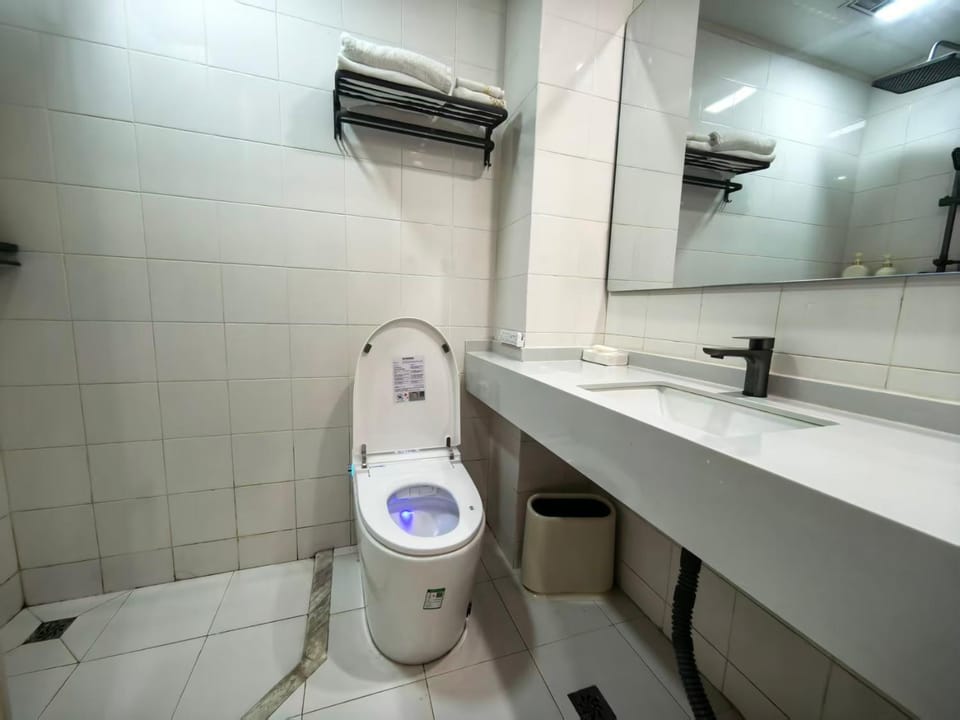 Toilet, bidet, towels
