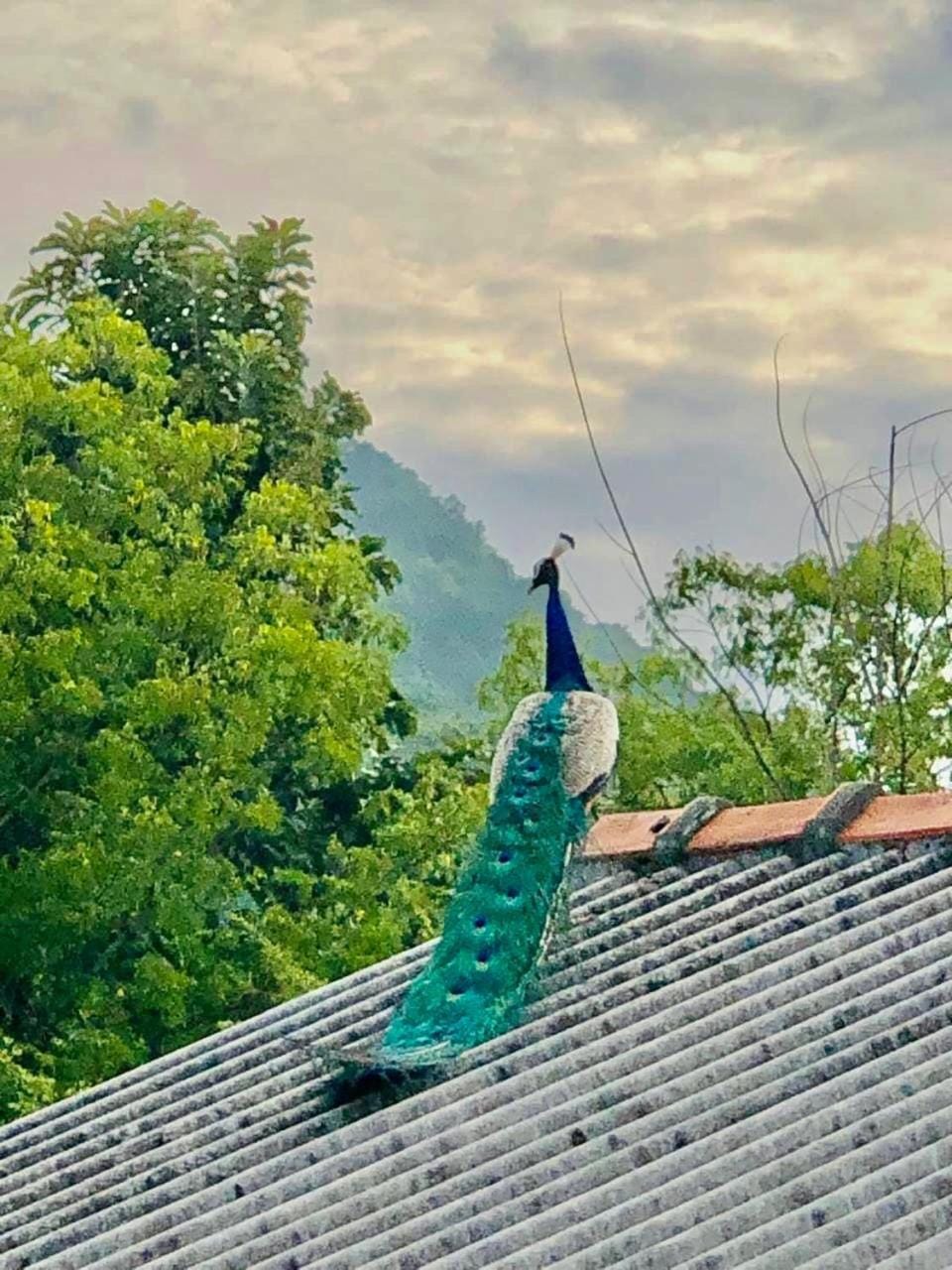Hena Villas Campsite Campground/ 
RV Resort in Uva Province, Sri Lanka
