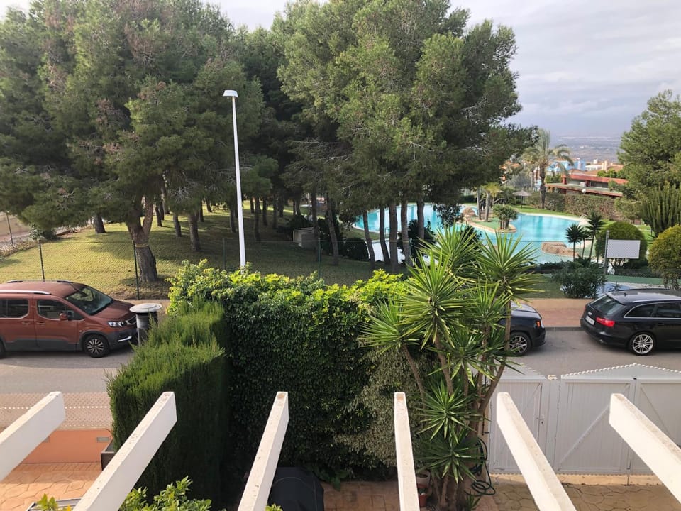 Day, Natural landscape, Garden, Garden view, Pool view, Swimming pool, Parking